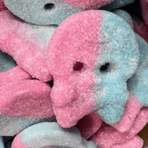 BUBS Bubblegum SKALLE - Pick'n'Mix at The Candy Bar Toronto