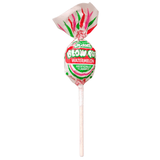 Charms Blow Pop Watermelon lollipop with colorful label on a white background