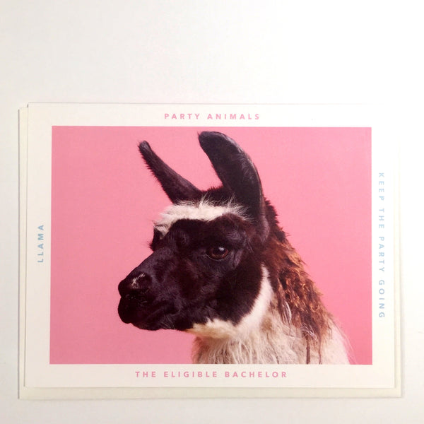 Party Animal Card - The Eligible Bachelor - Katherine Holland